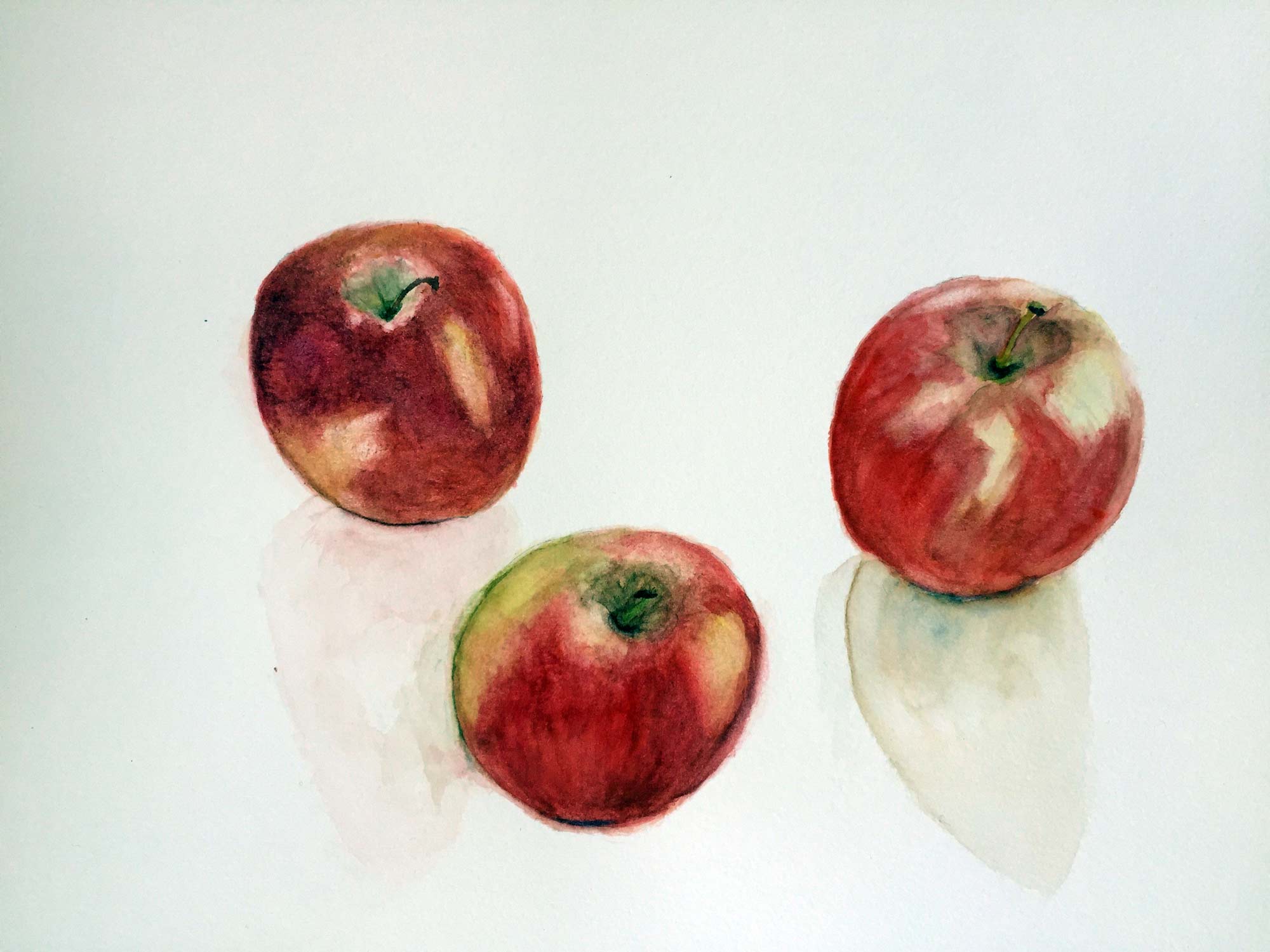 Premier regard de pommes